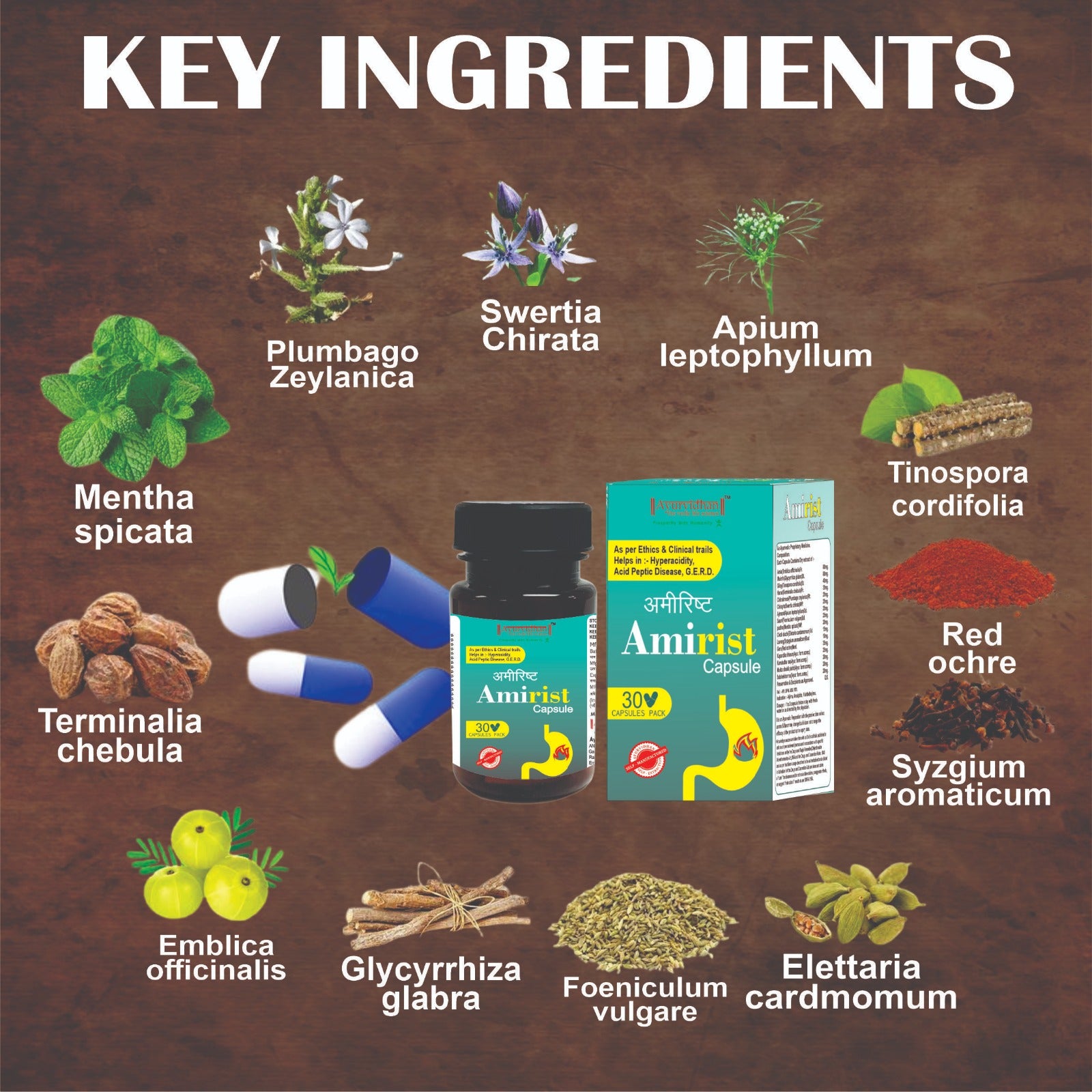 Amirist Capsule Ingredients