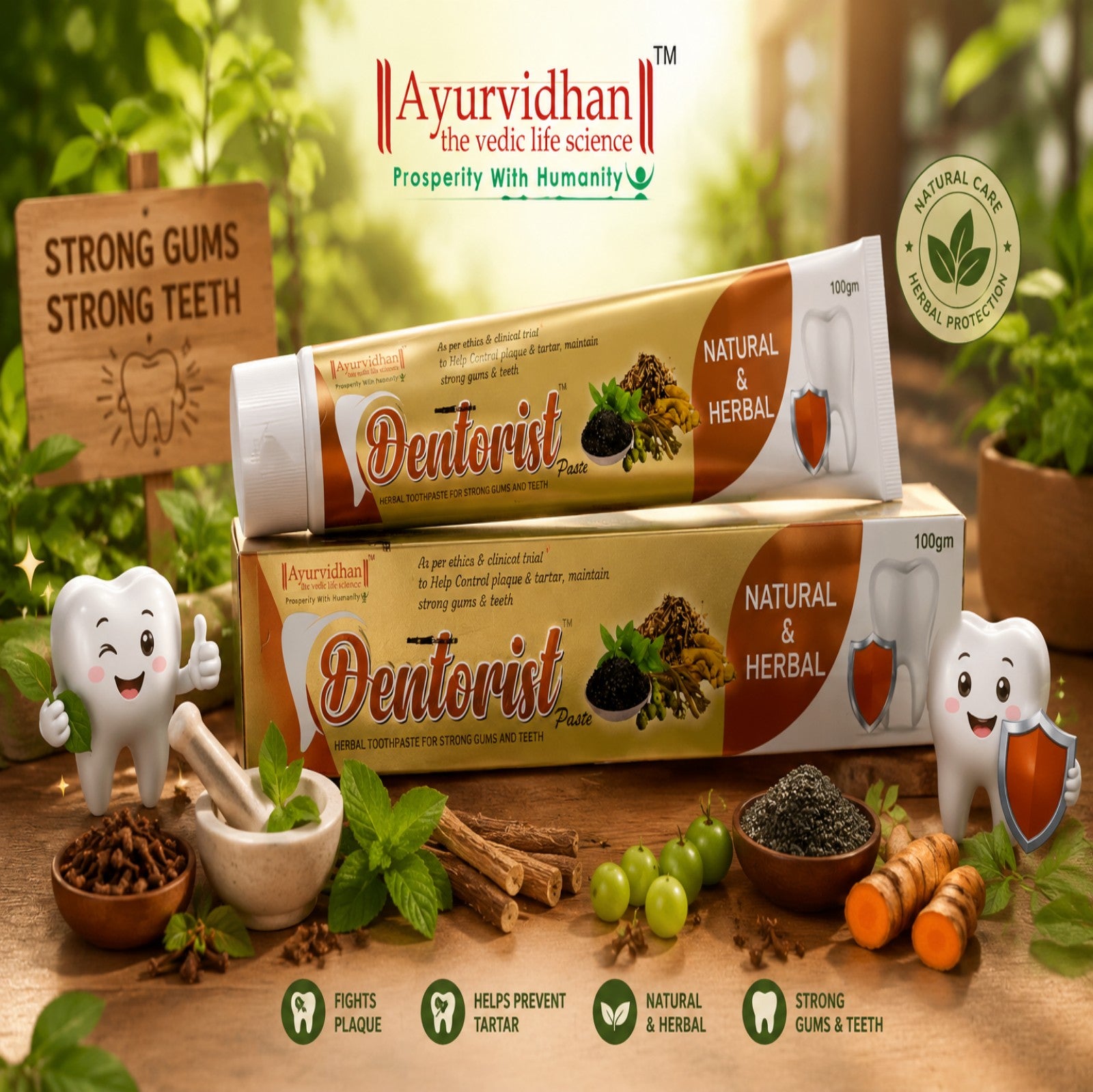 Ayurvedic Herbal Toothpaste for Strong Gums | Dentorist