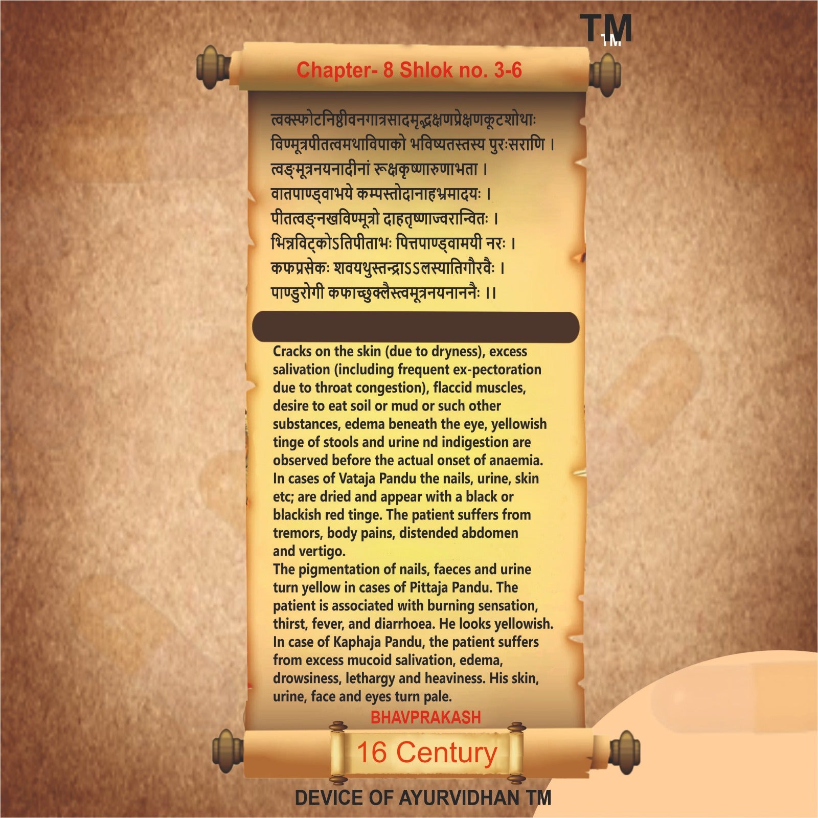 Text on a scroll with a brown background, featuring classical language and 'TM' symbol.