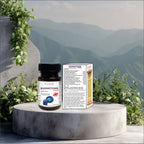 Ayurvidhan Sudhitone Capsules | Ayurvedic Brain & Memory Booster