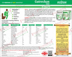 Gutrechan Tablet – Best Ayurvedic Medicine for Constipation & Digestive Health