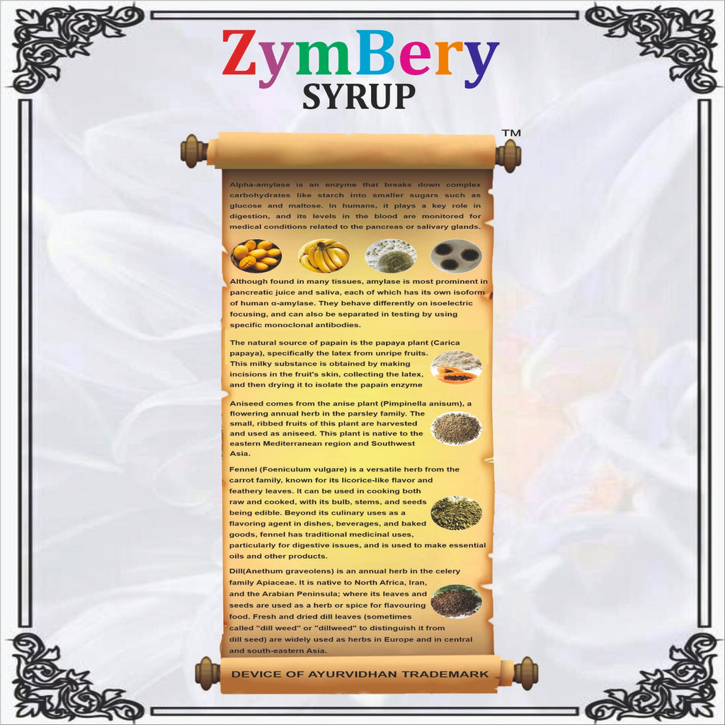 ZymBery Digestive Enzyme Syrup 220ml | Alpha Amylase Syrup
