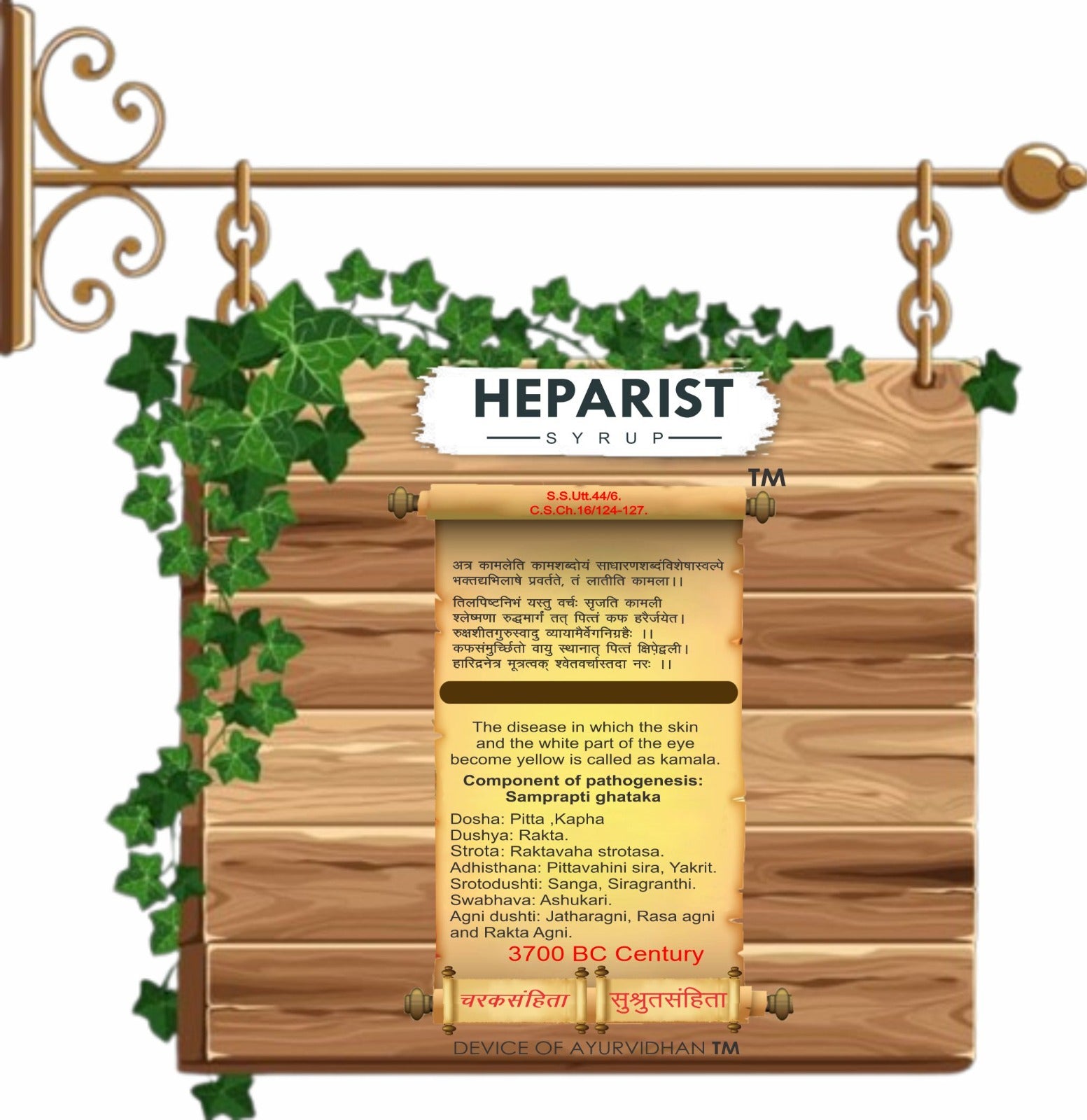 Ayurvidhan Heparist Syrup 100ml | Ayurvedic Liver Care & Detox Support
